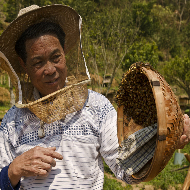 正宗老蜂蜜纯正天然农家自产野生蜂蜜百花蜂蜜深山土蜂蜜500g正品