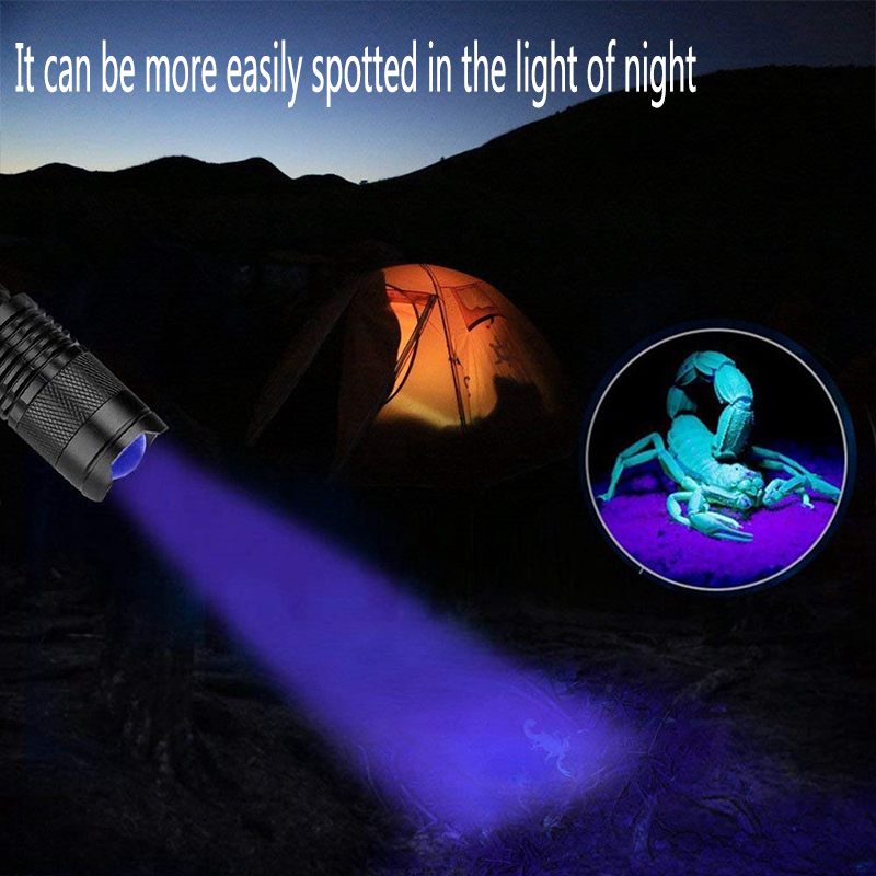 LED UV Flashlight Ultraviolet Torch With Zoom Function Mini-图3