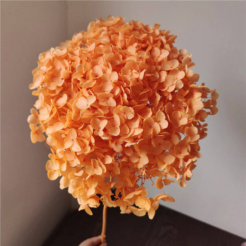 永生花绣球花束整支单支安娜小叶家居插花装饰求婚情人节紫阳花,淘宝优惠券,粉丝福利购,淘宝优惠卷