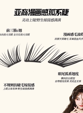 假眼睫毛自然逼真浓密款