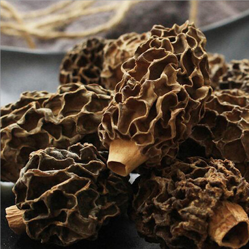 云南纯野生羊肚菌干货500g 深山纯野生剪柄羊肚菌 煲汤汤底火锅料 - 图0