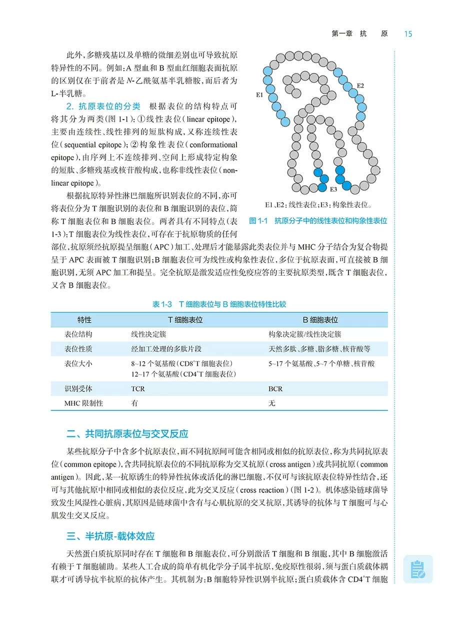 正版微生物学与免疫学 第九版 吴雄文 强华主编 人民卫生出版社 十四五全国高等学校药学类专业第九轮规划教材教程书籍 - 图3