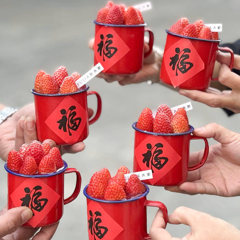 2025跨年除夕福字贴纸草莓中式茶缸茶杯新年元旦甜品蛋糕搪瓷杯,淘宝优惠券,粉丝福利购,淘宝优惠卷