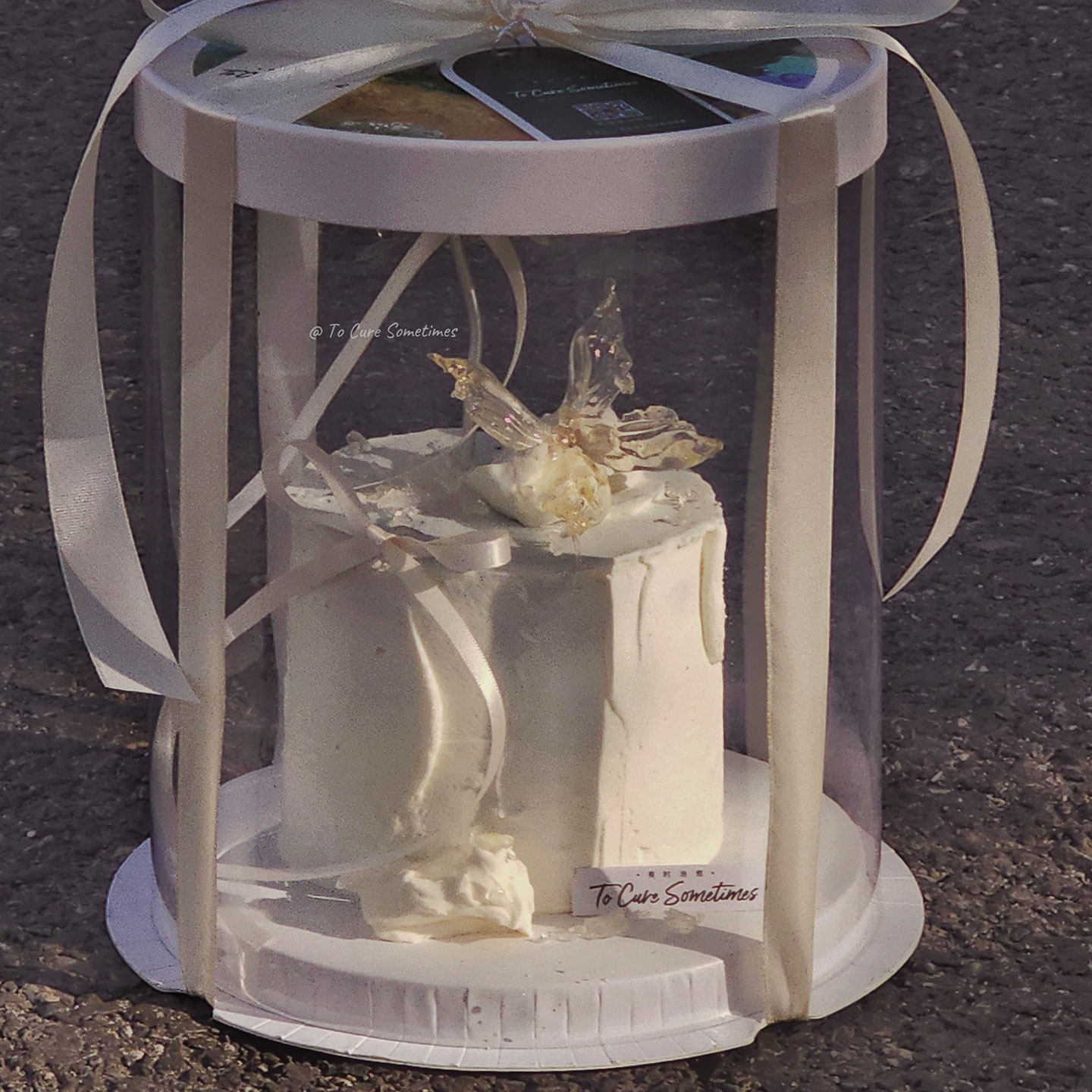 简约风奶色蝴蝶蛋糕装饰幻彩蝴蝶蜡烛摆件丝带插件甜品蛋糕打包盒,淘宝优惠券,粉丝福利购,淘宝优惠卷