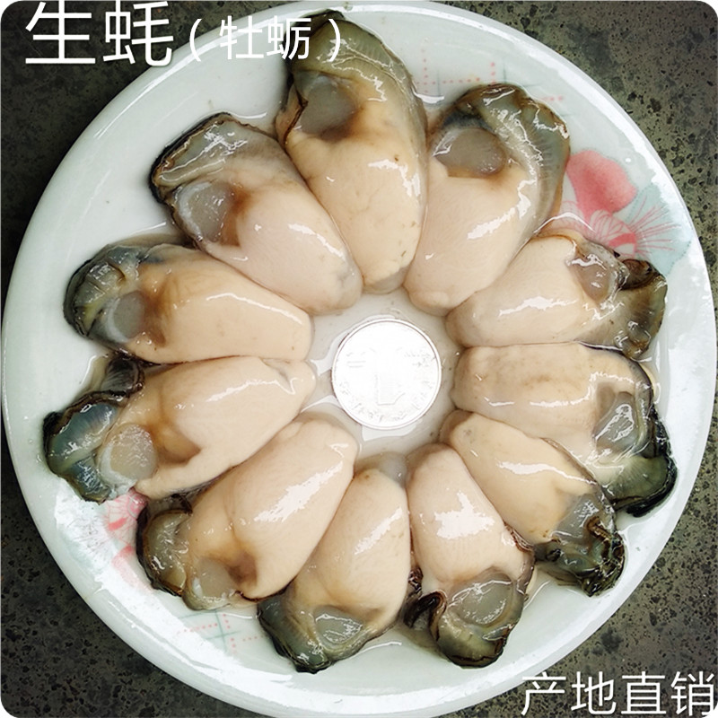 生蚝肉鲜活现剥去壳牡蛎500g海鲜水产即食烧烤特大海蛎子十斤包邮-图2