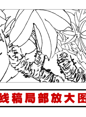 牡丹素材临摹练习线描稿实物国画