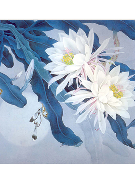昙花练习线描实物打印稿工笔画