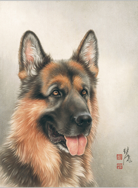 XP27高清工笔画犬临摹画稿白描国画花鸟装饰画素材临摹线描打印稿