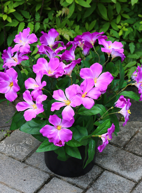 仿真杜鹃花映山红花箱花槽装饰花假花塑料花