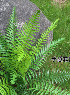手感软胶大把束蕨叶波斯叶