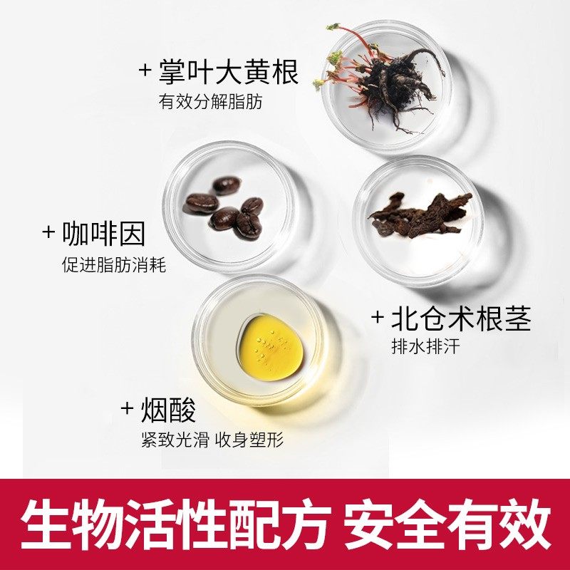 laver莱薇尔塑形膏顽固型纤体霜 莱薇尔品牌直售店纤体霜/凝露