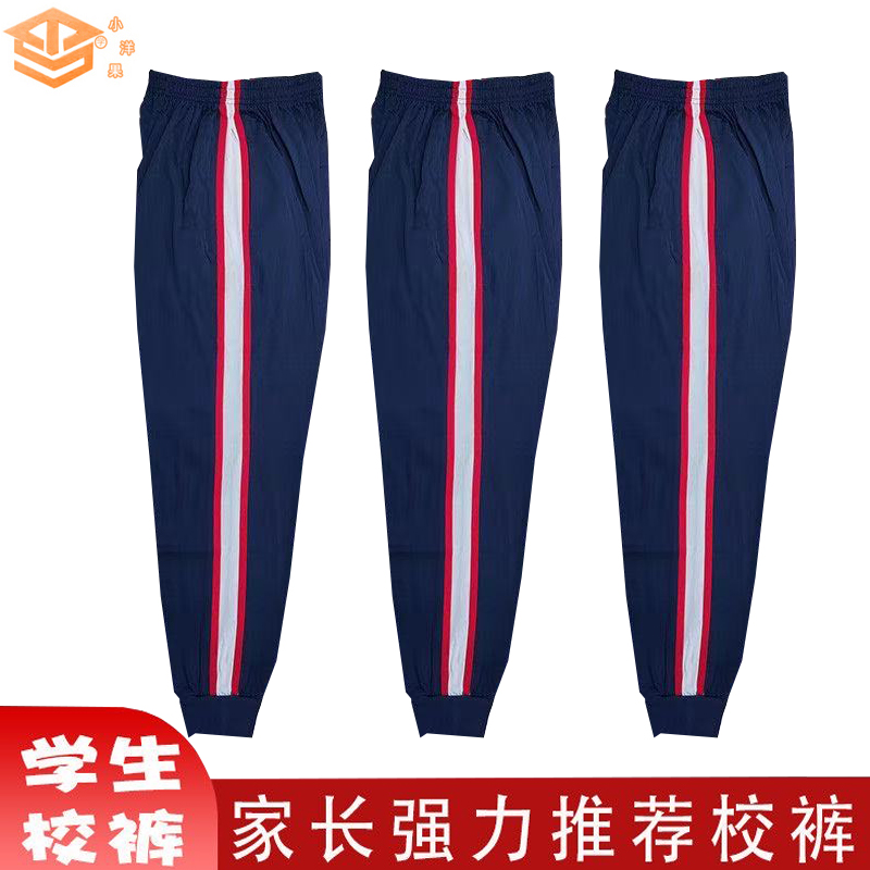 佛山西樵中学生校服翻领T恤Polo衫短袖夏季新款男女班服运动套装 - 图1