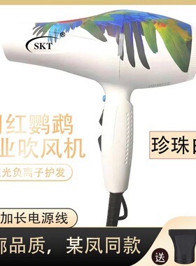 SKT鹦鹉同款吹风机发型师专用理发店发廊家用速干负离子护发风筒