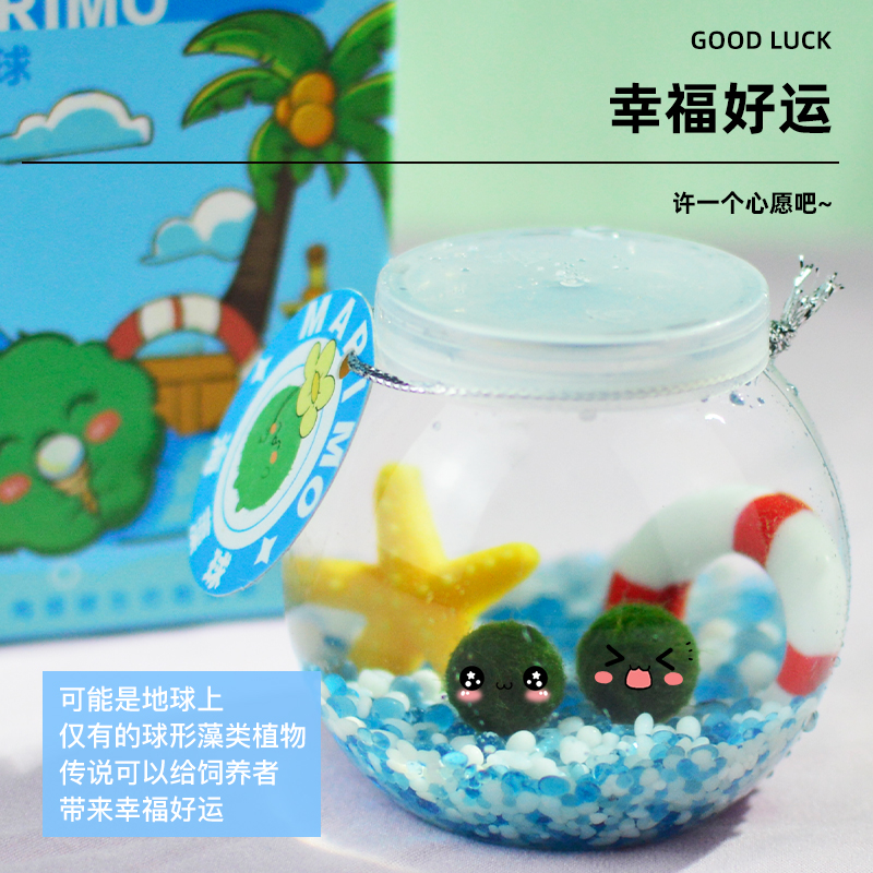 『萌藻星球』marimo海藻球微景观生态瓶办公室水培植物绿球藻礼物-图1