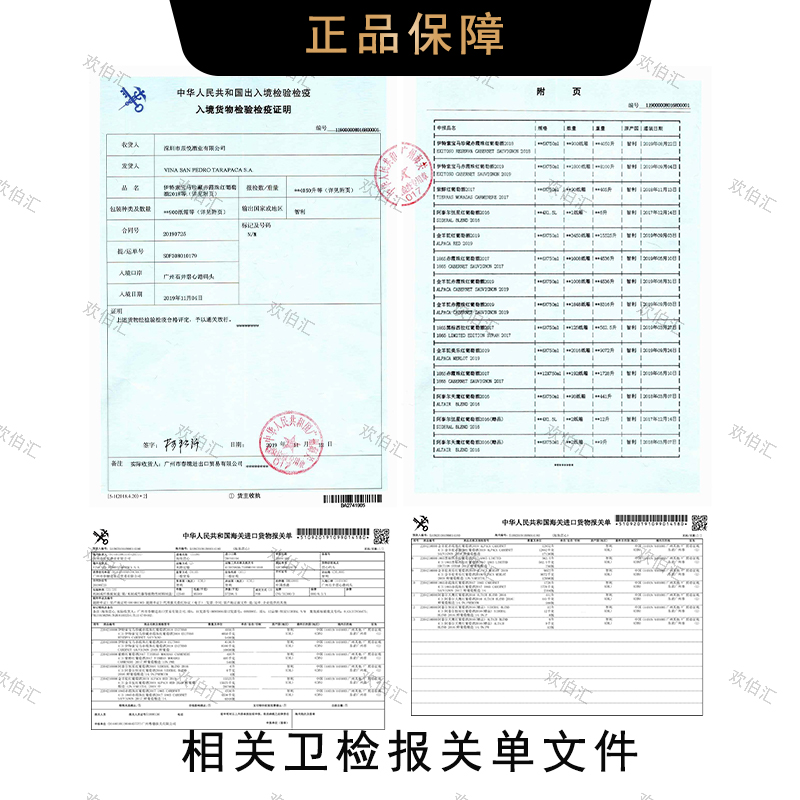 智利原瓶原装进口金羊驼红酒精选款半甜赤霞珠美乐干红葡萄酒整箱 - 图2