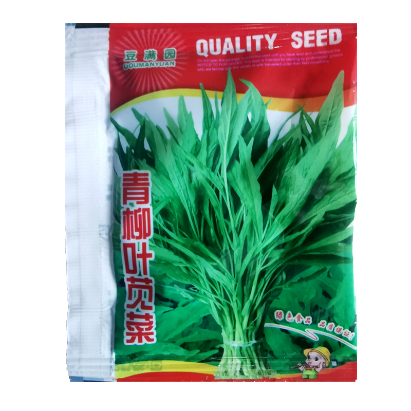 青柳叶苋菜种籽小尖叶玉米菜种耐热白苋菜种孑阳台家庭盆栽蔬菜种-图3