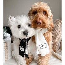 Scarves Hat OVERGLAM INGLÉM WIND PET SMALL TO MEDIUM DOG WARM ACCESSORIES WEAR A HITCH CAP DUCK TONGUE CAP