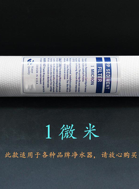 10寸家用100克净水器滤芯