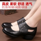 红莉人 Квадратная танце