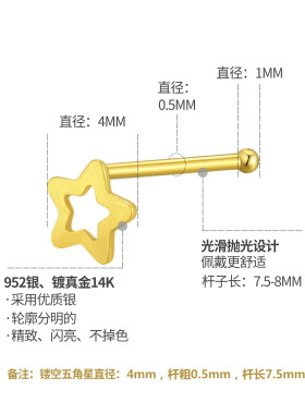 ELEGZO徕资五角星镂空s925银饰防脱落防过敏鼻钉耳骨钉耳钉直杆子