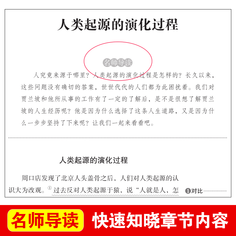 赠考题册 人类起源的演化过程 又名爷爷的爷爷哪里来 快乐读书吧贾兰波小学生版四年级下册语文正版包邮书籍sx - 图2