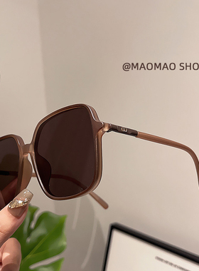 INS复古大框太阳眼镜女士