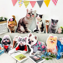 Cat Dog Pet Profiled Hug Custom Diy Animal Paparazzi to figure photo book a cat memorabilia set to do