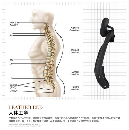 免安装腰靠靠背延长增高头枕办工护腰靠背垫公室腰靠腰枕头枕椅子 - 图1