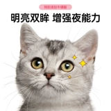 Macin Cat Food Citten