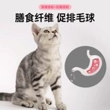 Macin Cat Food Citten