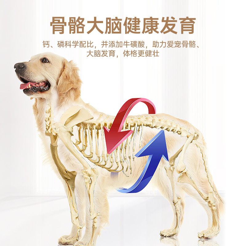 麦顿B3宠物狗粮幼犬通用型中小型犬款泰迪贵宾金毛比熊专用粮2kg-图3