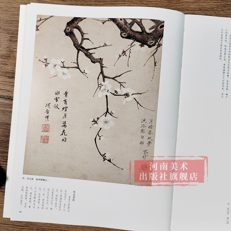 梅花苏百钧中国历代绘画百图花卉集沈周石涛恽寿平等名家画作赏析附解析局部放大便于临摹国画书画爱好者菊花兰花荷花竹子河南美术