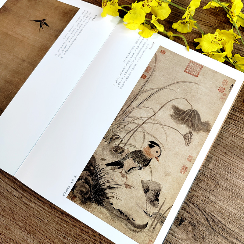 荷花苏百钧中国历代绘画百图花卉集沈周石涛恽寿平等名家画作赏析附解析局部放大便于临摹国画书画爱好者菊花兰花牡丹竹子河南美术