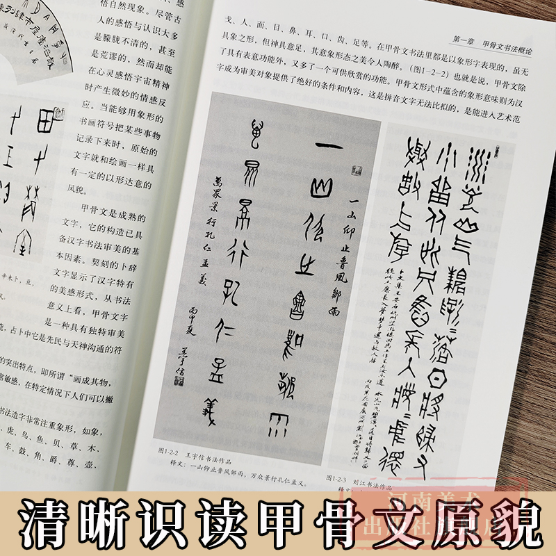 【旗舰正版】殷墟甲骨文书体分类萃编全系列 汉字历史说文解字国学历史文学古典文学工具书籍专业考古学者古汉语河南美术出版社 - 图2