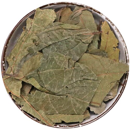 布渣叶中草药包邮500克特级蓑衣子破布叶麻布叶烂布渣中药材店铺 - 图3