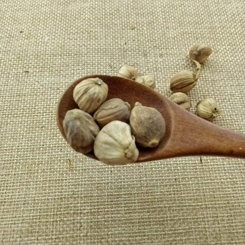 白豆蔻包邮500克香料 白寇仁白扣调料佐料大全中药材店铺干货白叩 - 图1