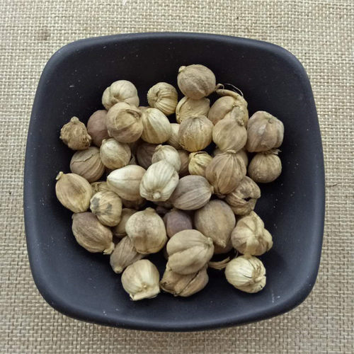 白豆蔻包邮500克香料 白寇仁白扣调料佐料大全中药材店铺干货白叩 - 图2