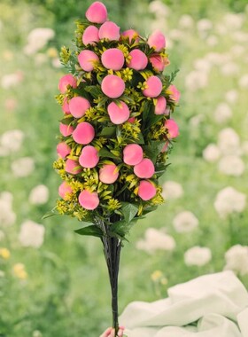 假花发财砂糖桔树苹果绿植物