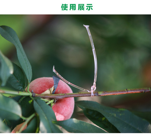 量大详谈梨小迷向丝 梨小食心虫迷向丝迷向散发器3/6个月持效防治 - 图2