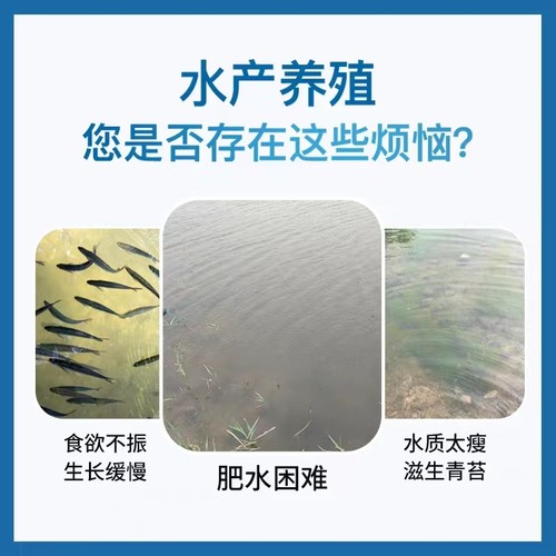 肥水膏浓缩氨基酸鱼龙虾蟹塘生物肥水膏王水产养殖专用培藻硅藻种-图1