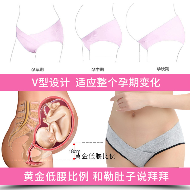 孕妇怀孕期不可调低腰托腹三角裤头 苏中香燕内裤