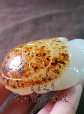 正品玉石玉器龙龟手把件