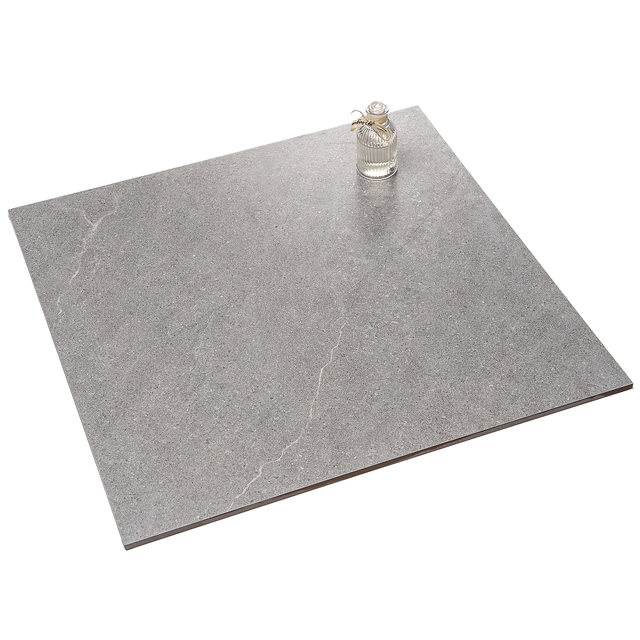 Gray cement matte antique tiles living room