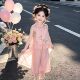 ເດັກຍິງໃຫມ່ຈີນ Tang Suit Hanfu Summer Suit ເດັກຍິງແບບຈີນແບບບູຮານ Costume ສອງສິ້ນຊຸດເດັກນ້ອຍປະສິດທິພາບ Costumes
