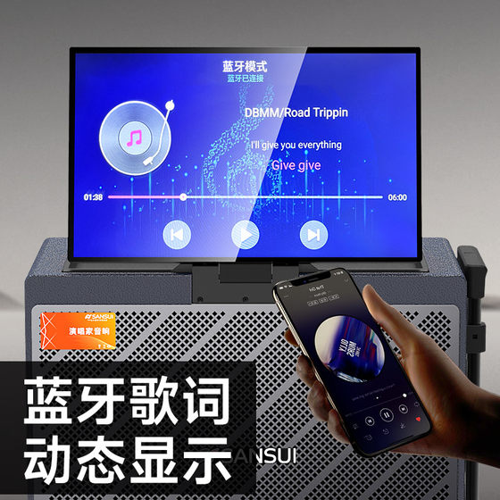 Shanshui 15-inch bass square dance outdoor karaoke speaker