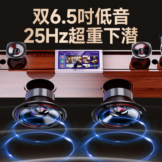 Shanshui karaoke machine home ktv audio theater set
