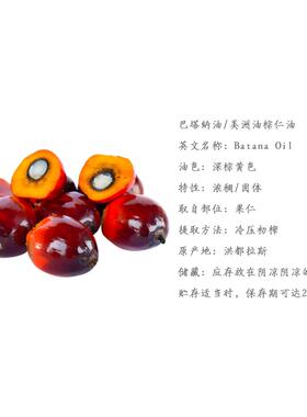 秋迹丨洪都拉斯巴塔纳油 Batana oil 美洲油棕仁油 美国棕榈仁油