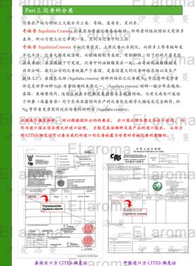 泰国科拉斯那奇楠沉香纯露 100ML抗衰紧致 稀奢品种 补水保湿喷雾