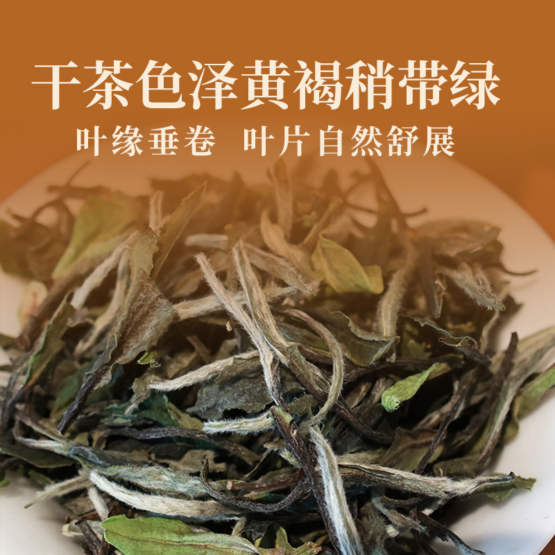 【新茶上市】政和白茶2025年花香白牡丹散茶明前茶叶礼盒装50g