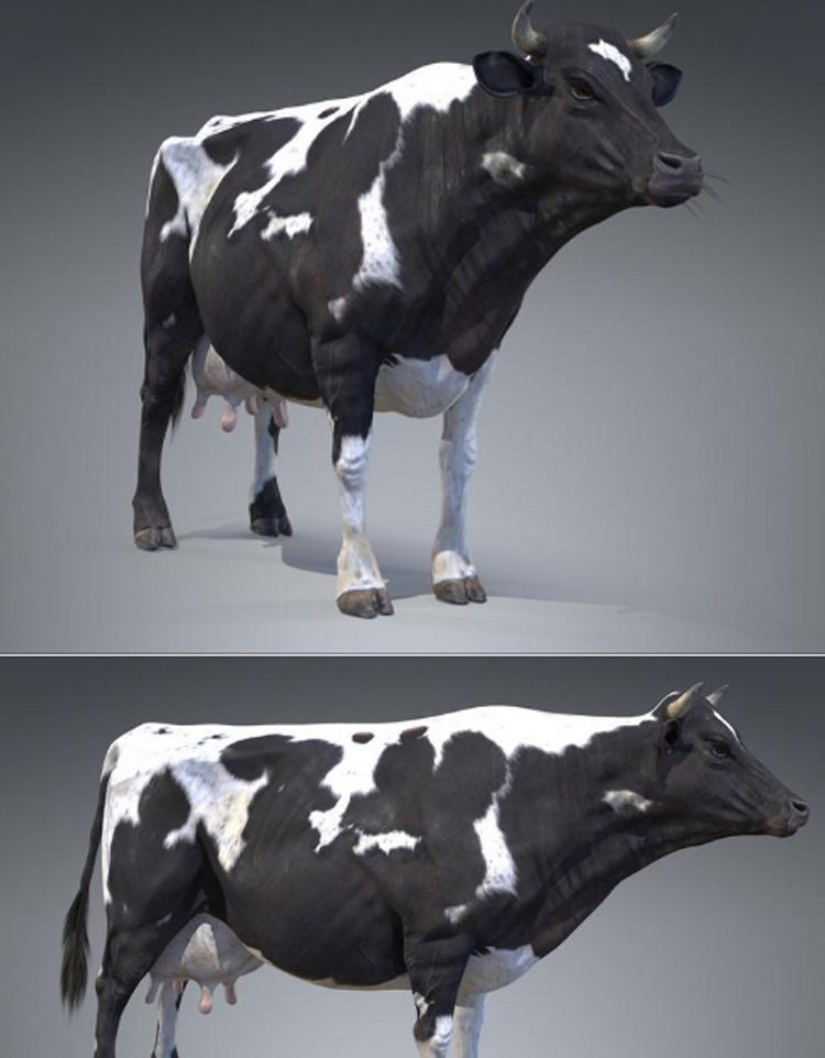 黑白色奶牛3d模型obj单体fbx高精mtl三维设计max建模打印素材c4d - 图0